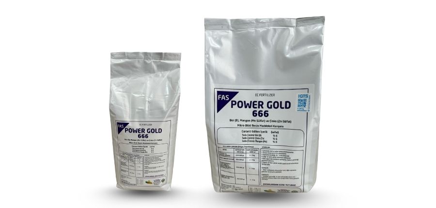 POWER GOLD 6-6-6
